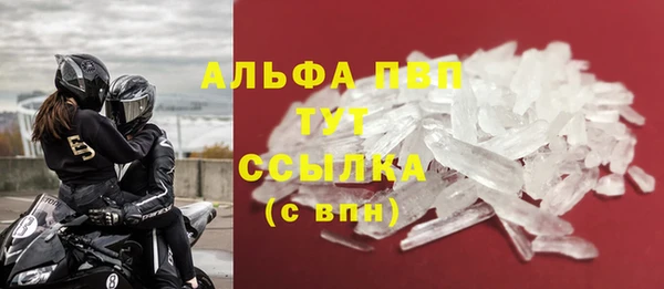 амф Кострома