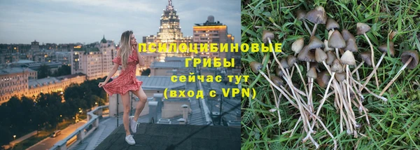 дживик Медвежьегорск