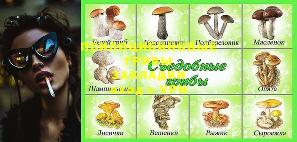 ALPHA PVP Мегион
