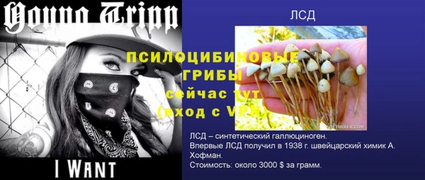 mix Медногорск